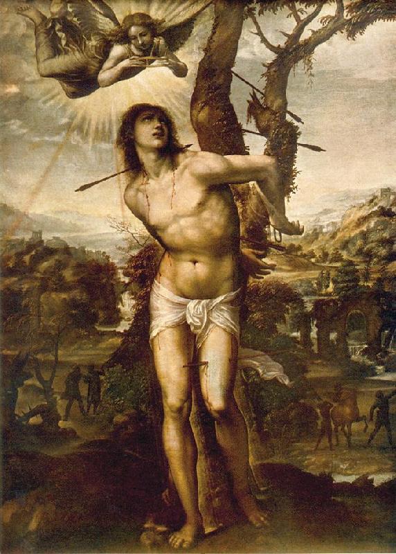 SODOMA, Il St. Sebastian aet oil painting image